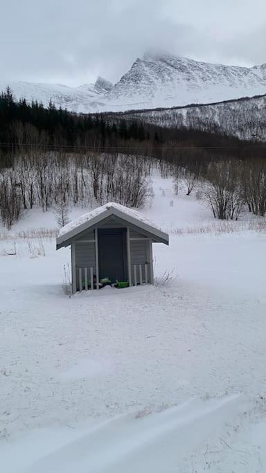 Photo 19