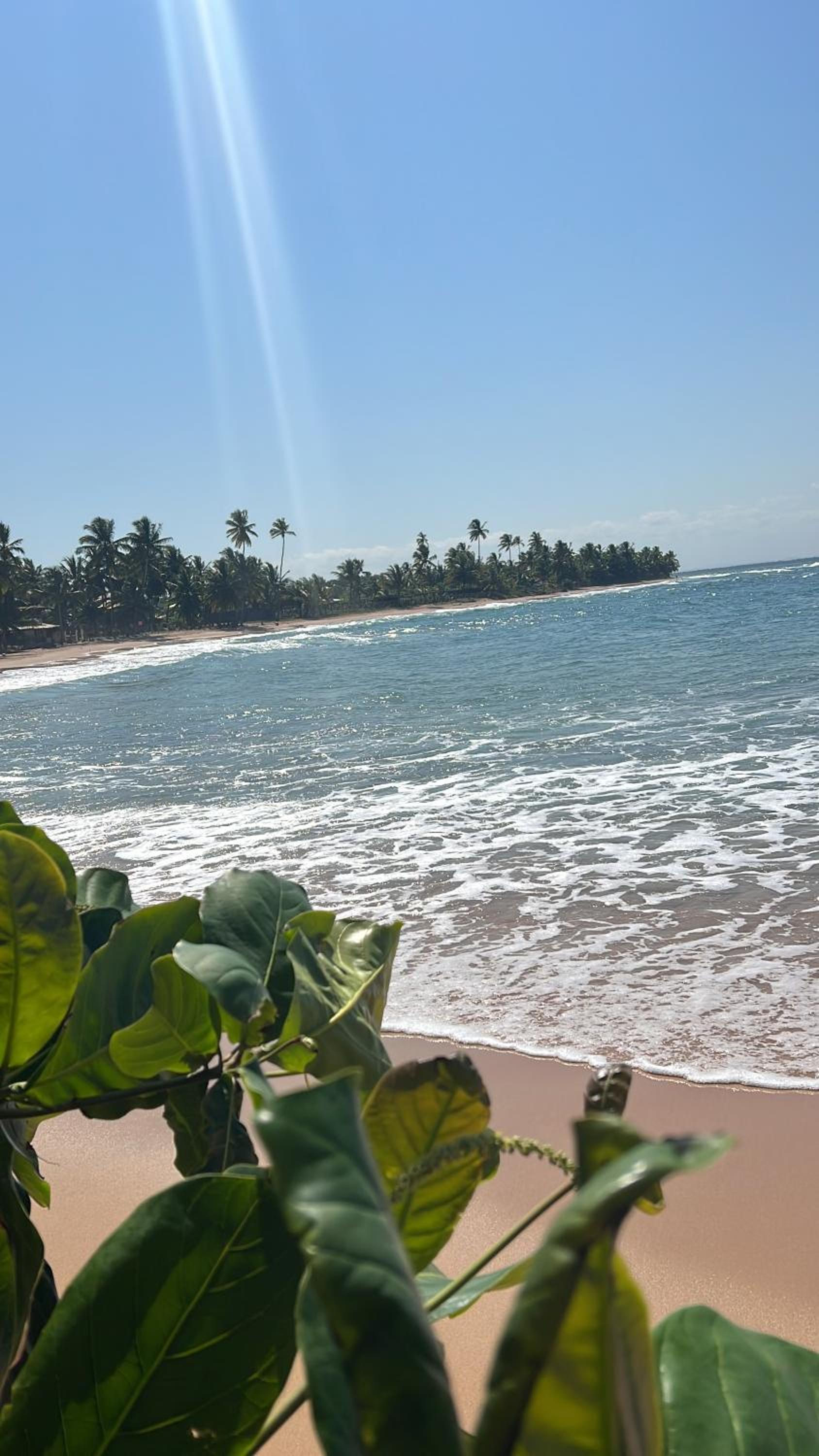 BELA BAHIA