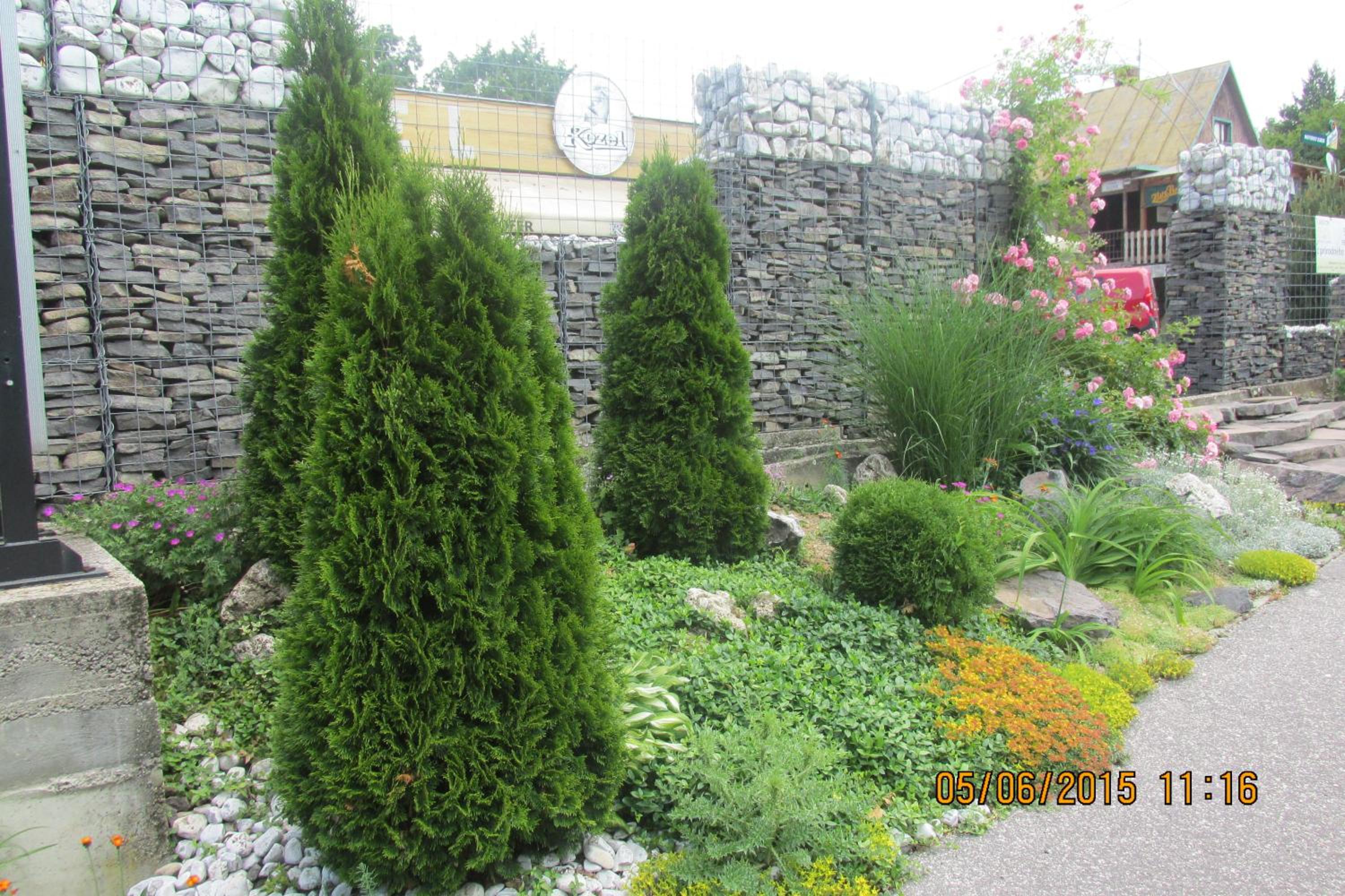 Photo 11