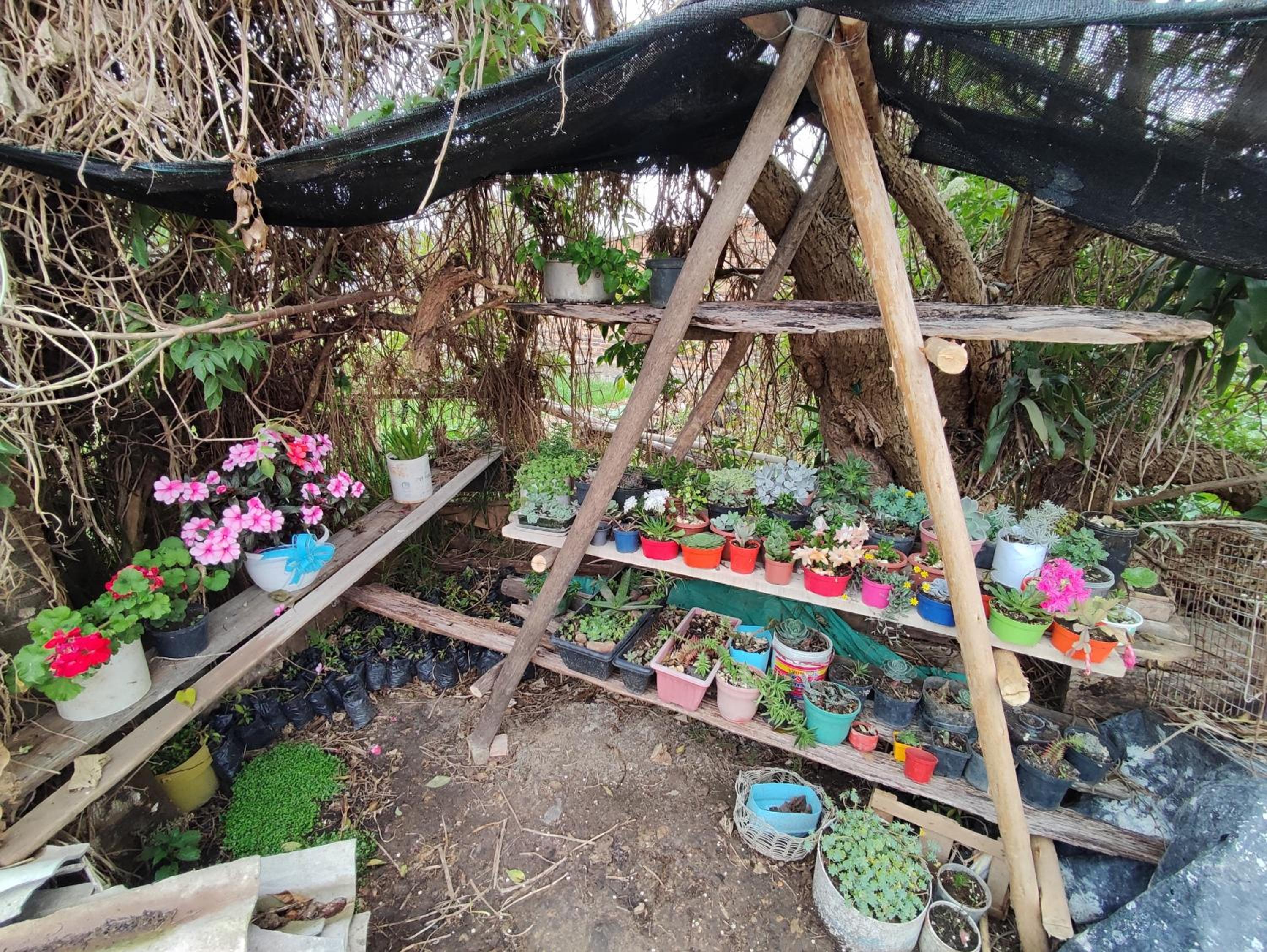 El Caña Bravo Posada, Alojamiento de Descanso