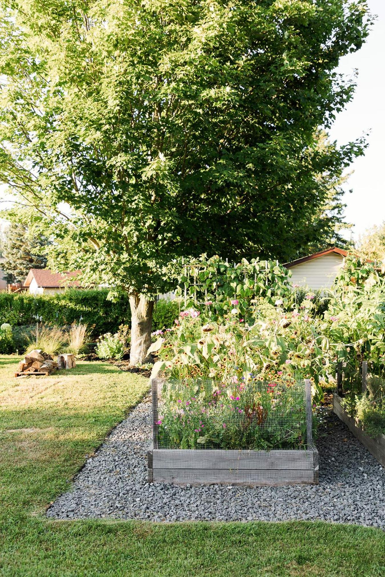 The Old Homestead - Gorgeous backyard right in The Heart of Picton