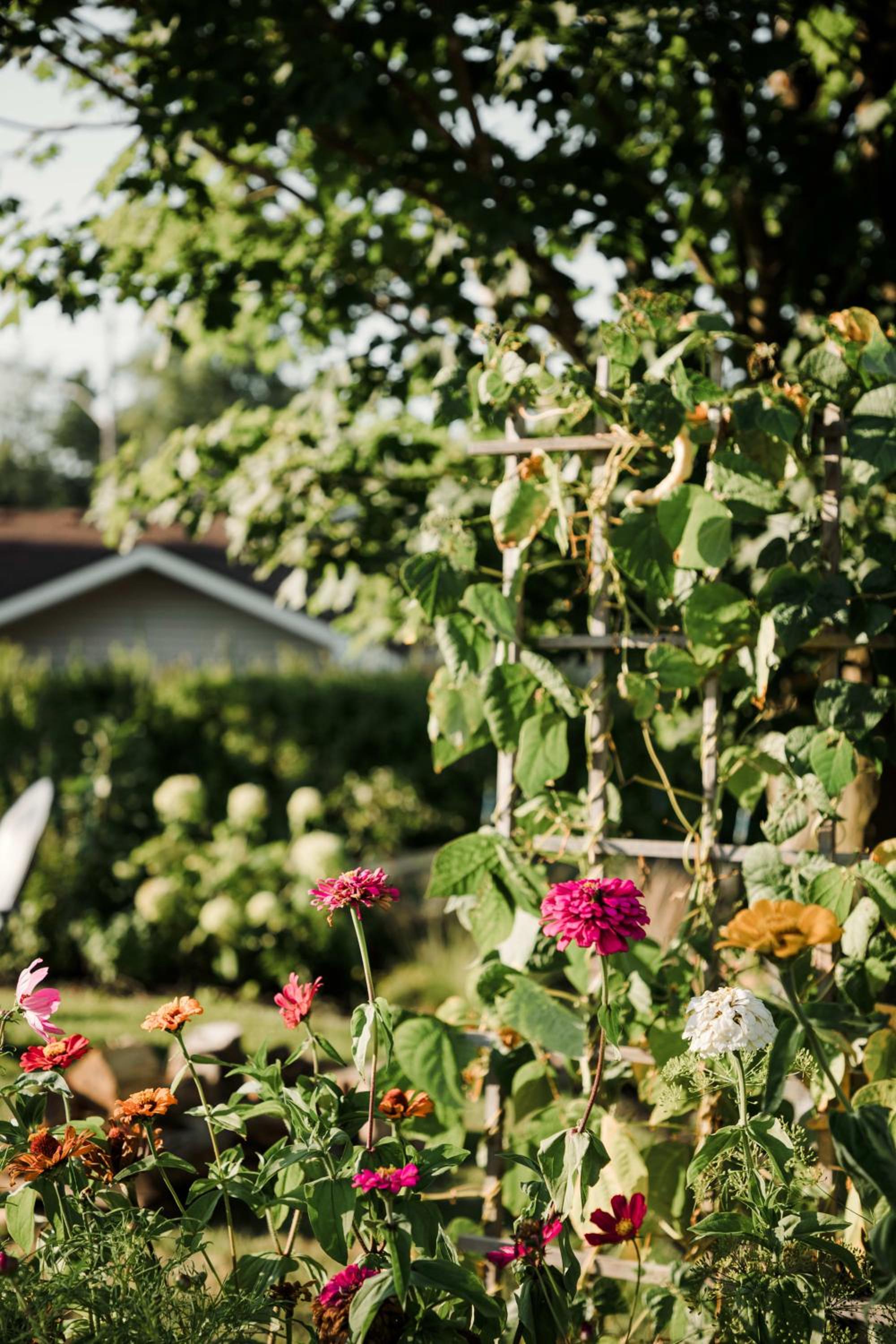 The Old Homestead - Gorgeous backyard right in The Heart of Picton