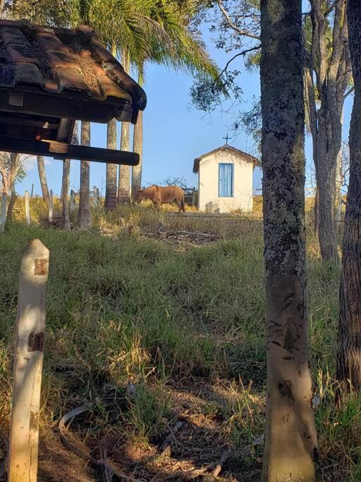 Fazenda centenária no Sul de MG