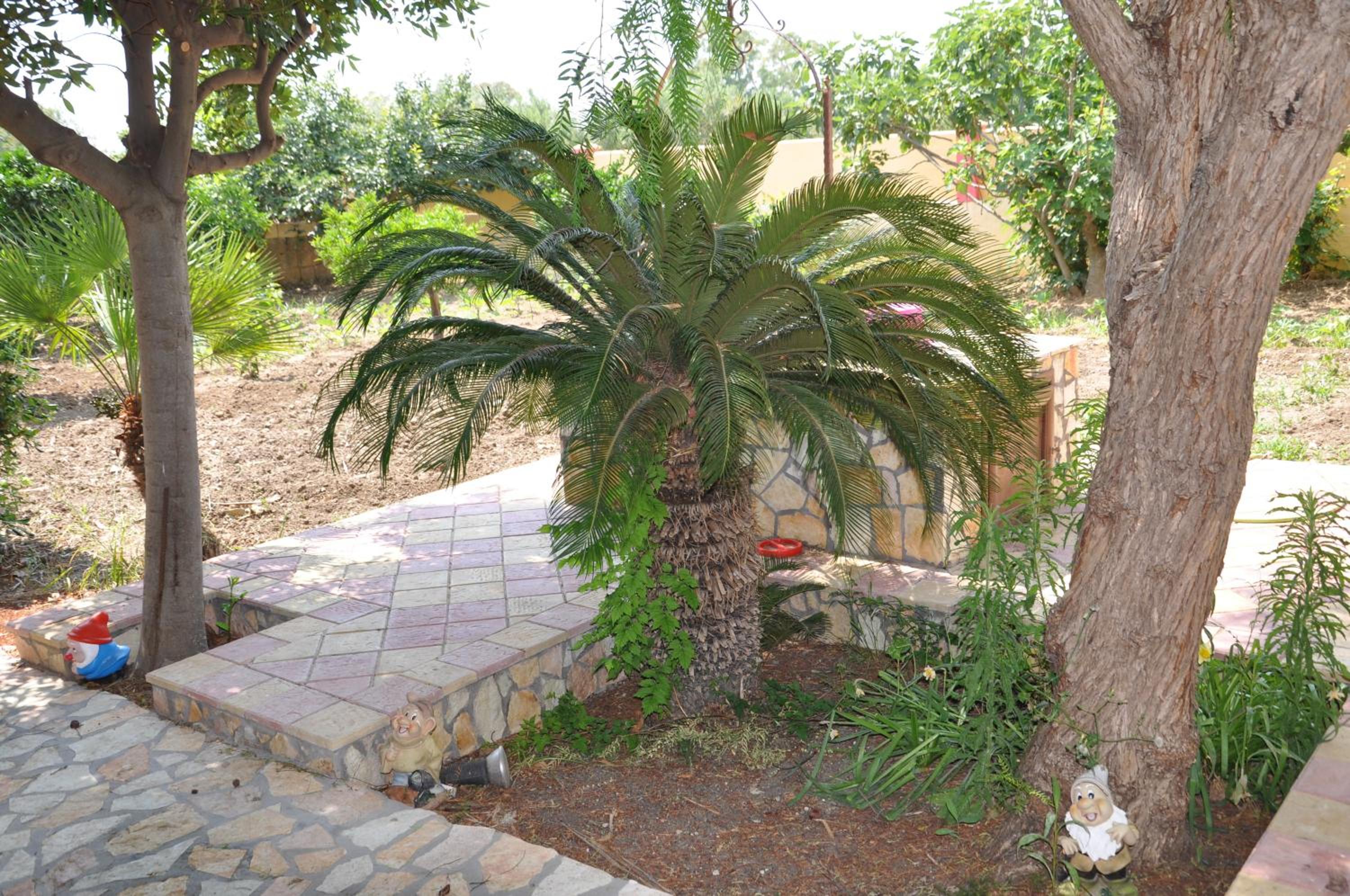 Profumo di Zagara view 5