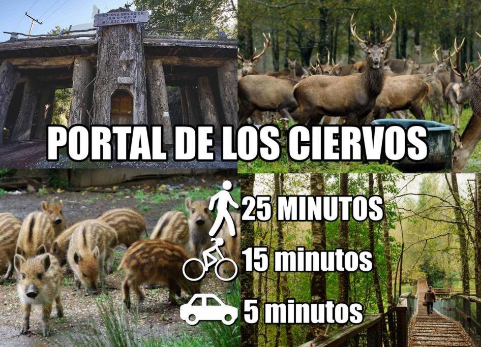 Cabaña Rustica, Lago/bosque/Puerto/Estufa Pellet
