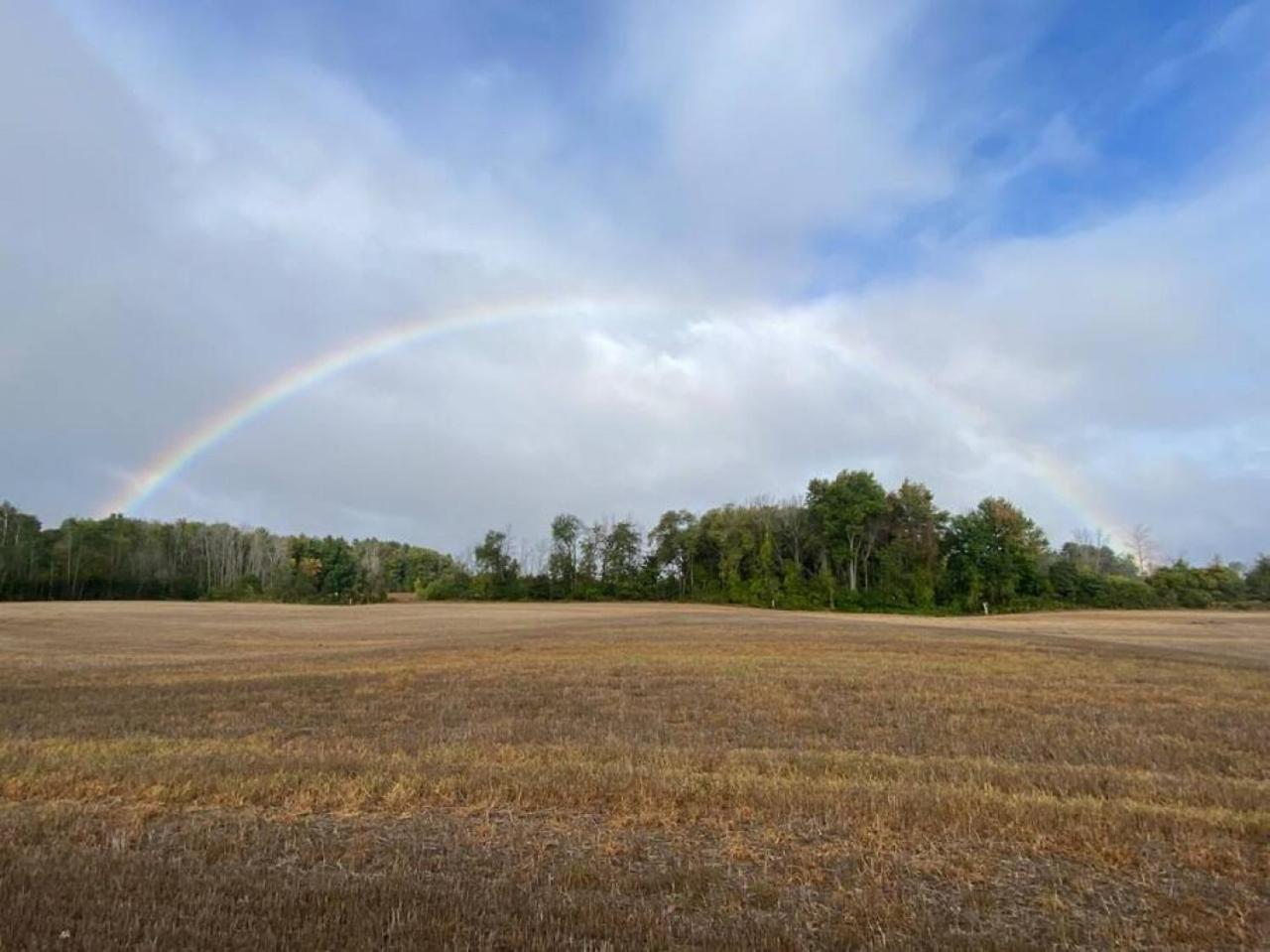 Guelph Vacations - Farmhouse Apartment Guelph Elora - Property Image 15