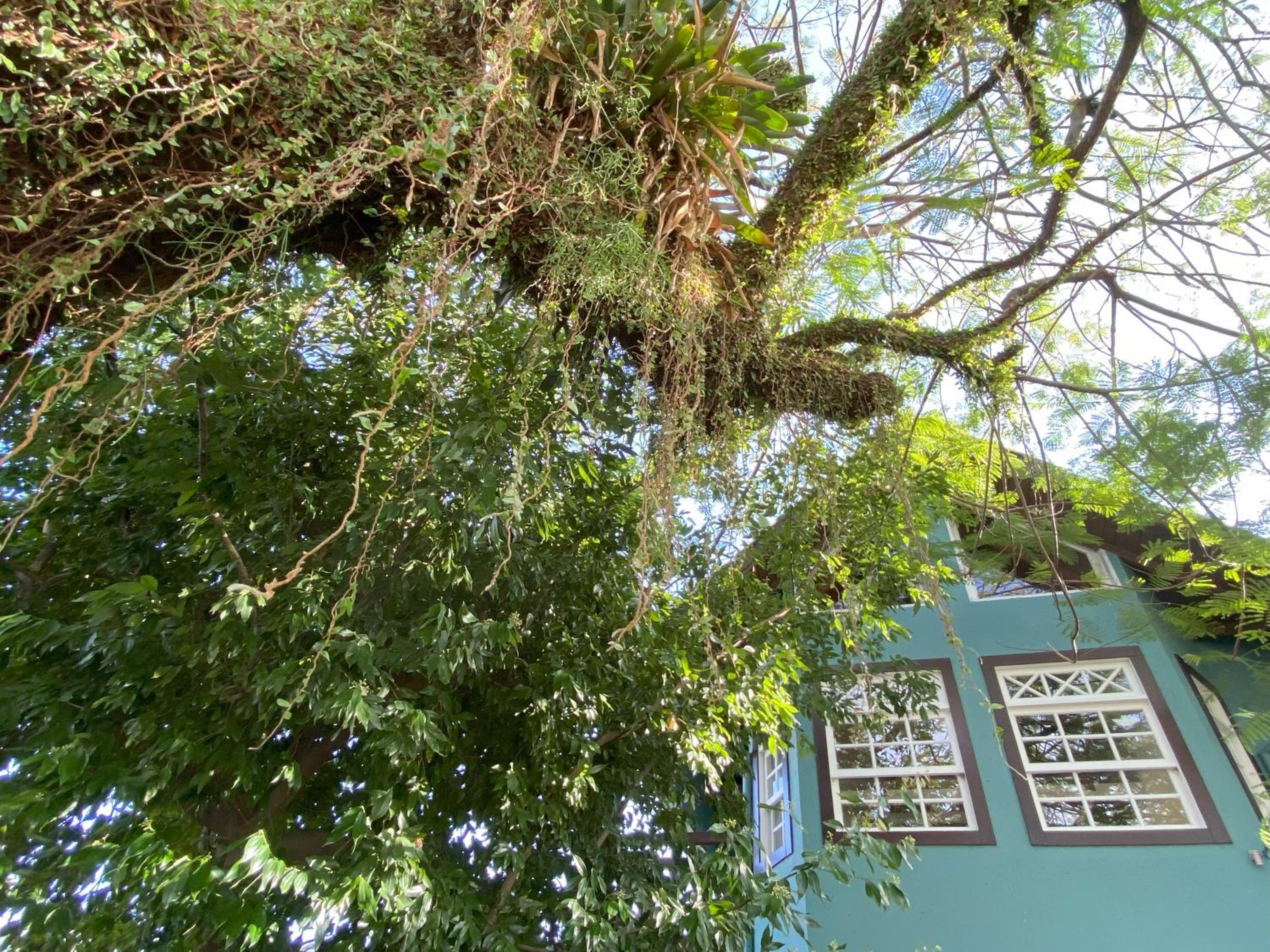 Pousada Solar das Pétalas - Florianópolis/SC
