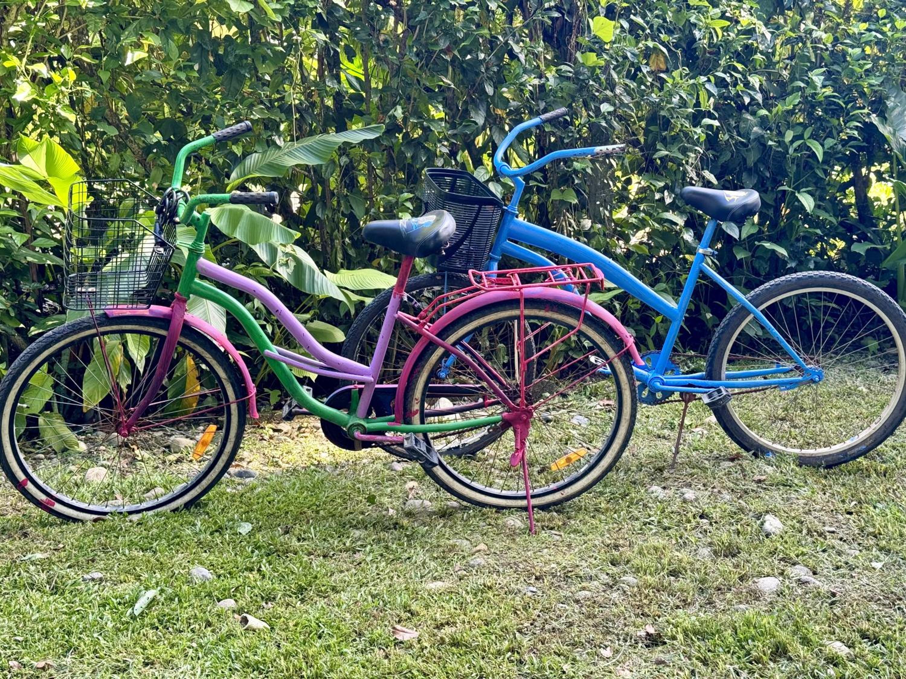 activities & amenities