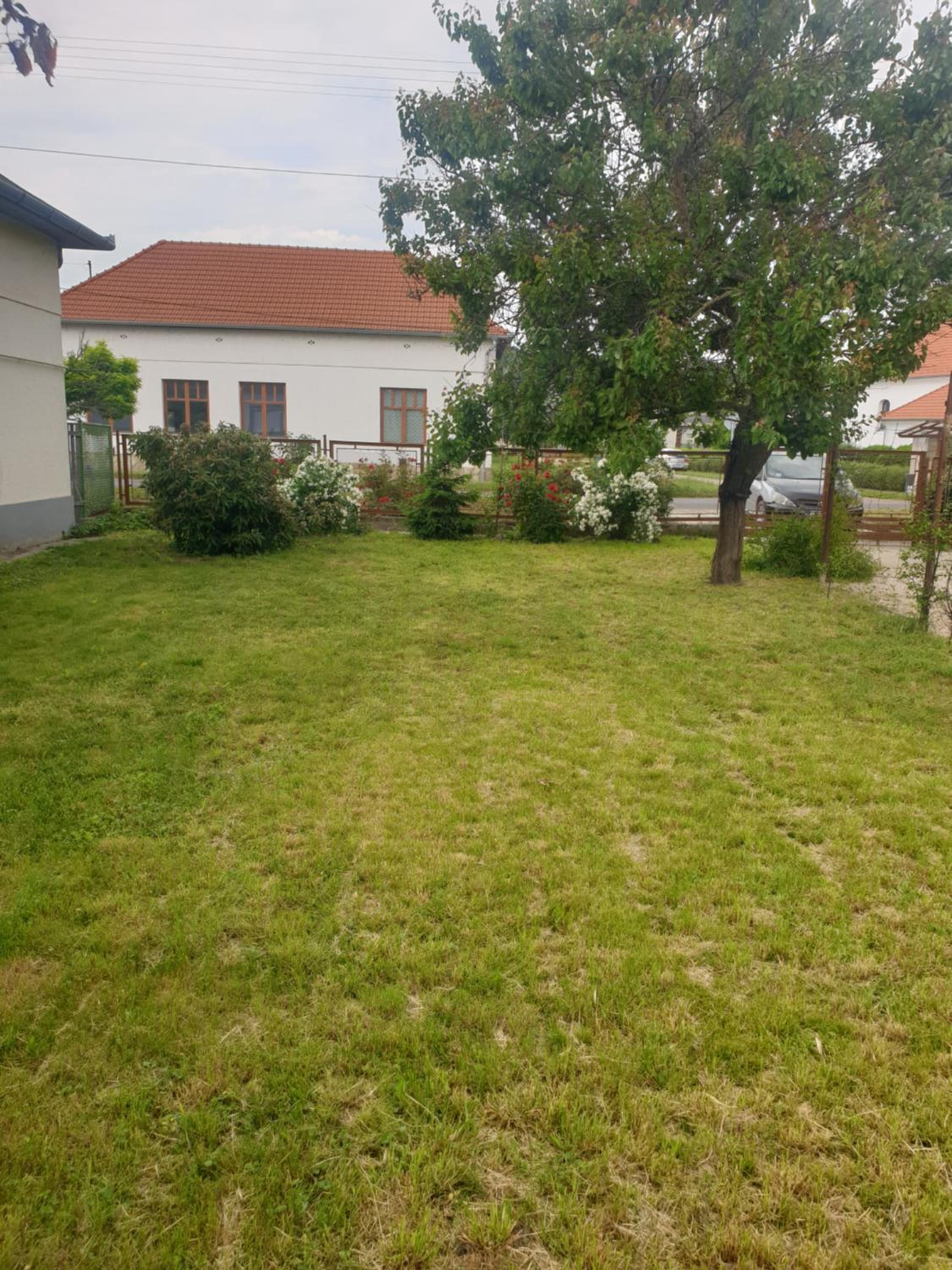 Photo 31