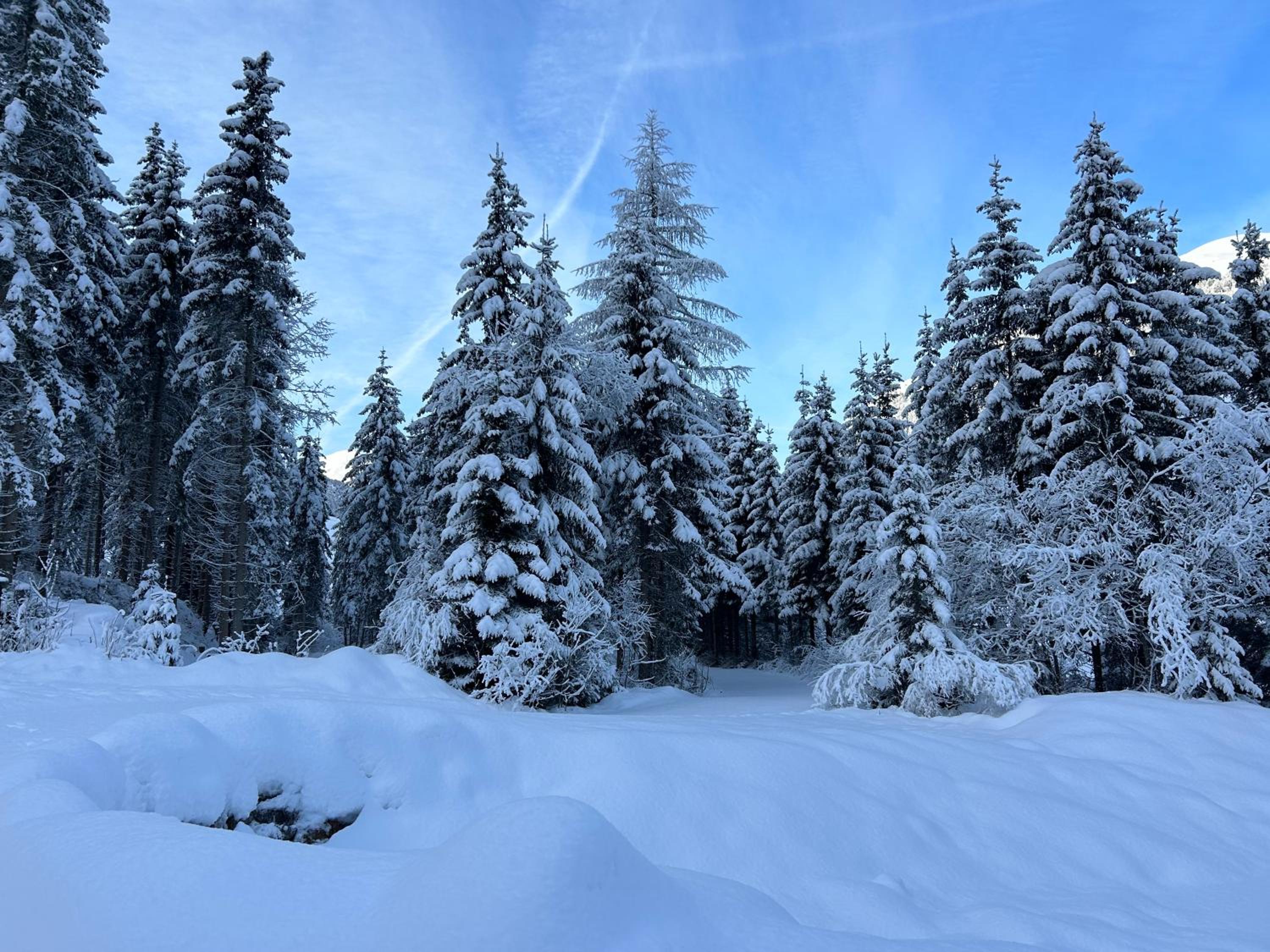 Haus Waldblick