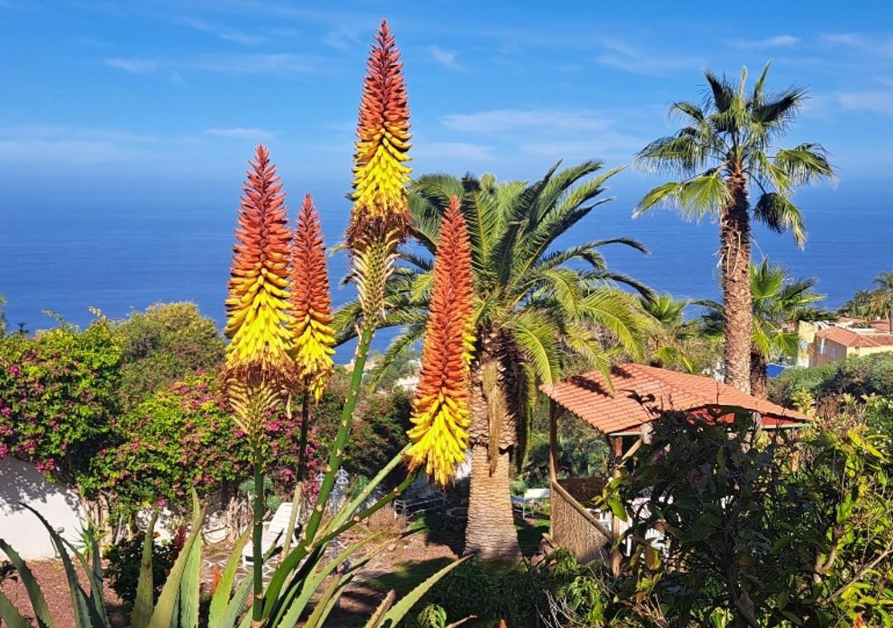 Villa Larnia de Tenerife
