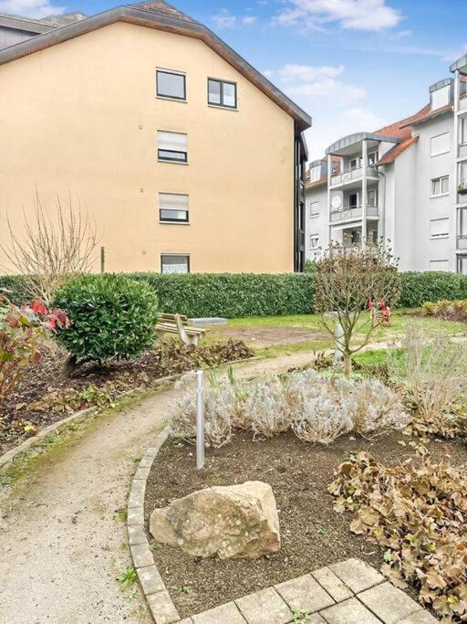 Schöne Wohnung im Dreilandereck