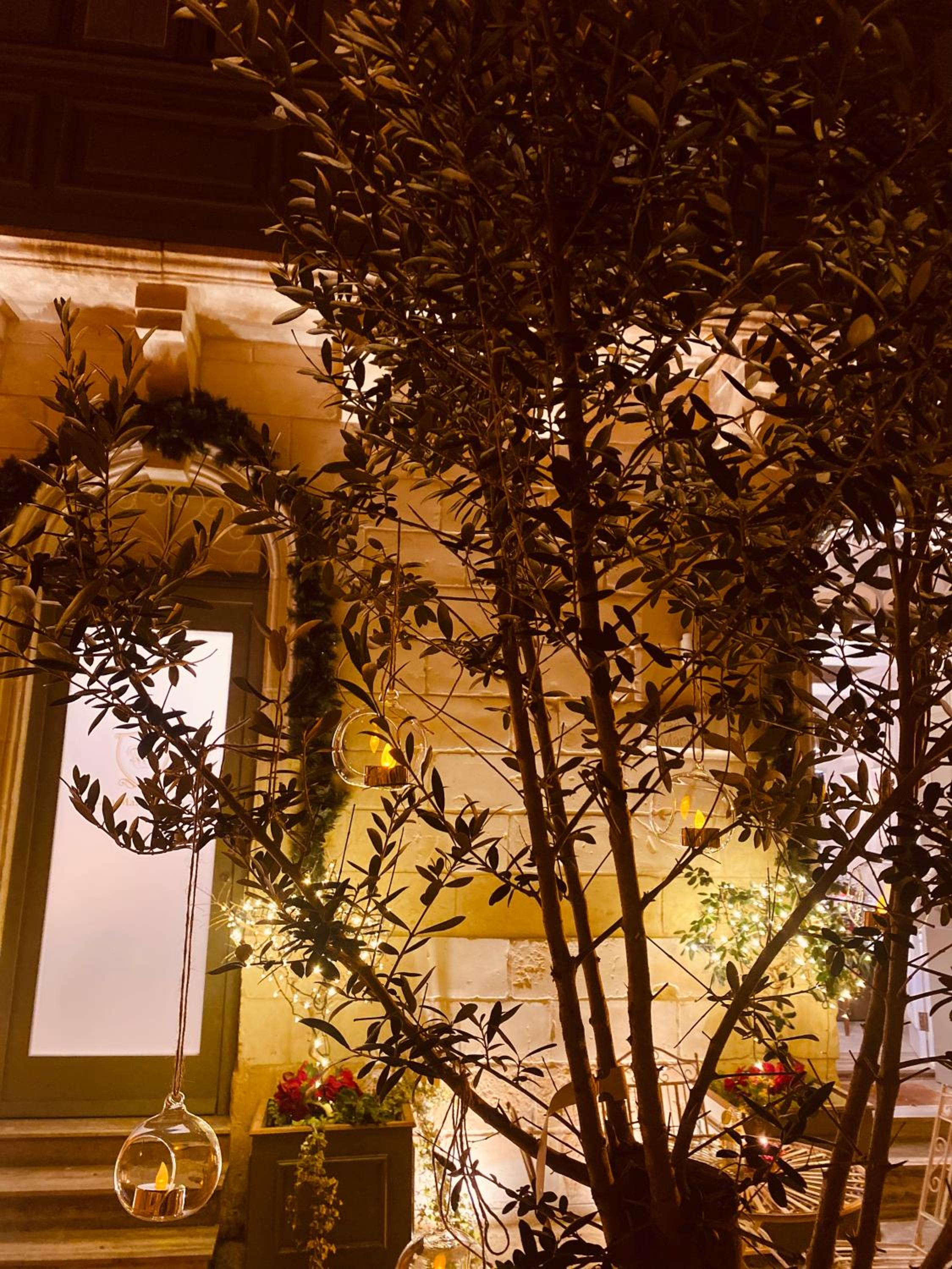 Casa Maria Tereza photo 5