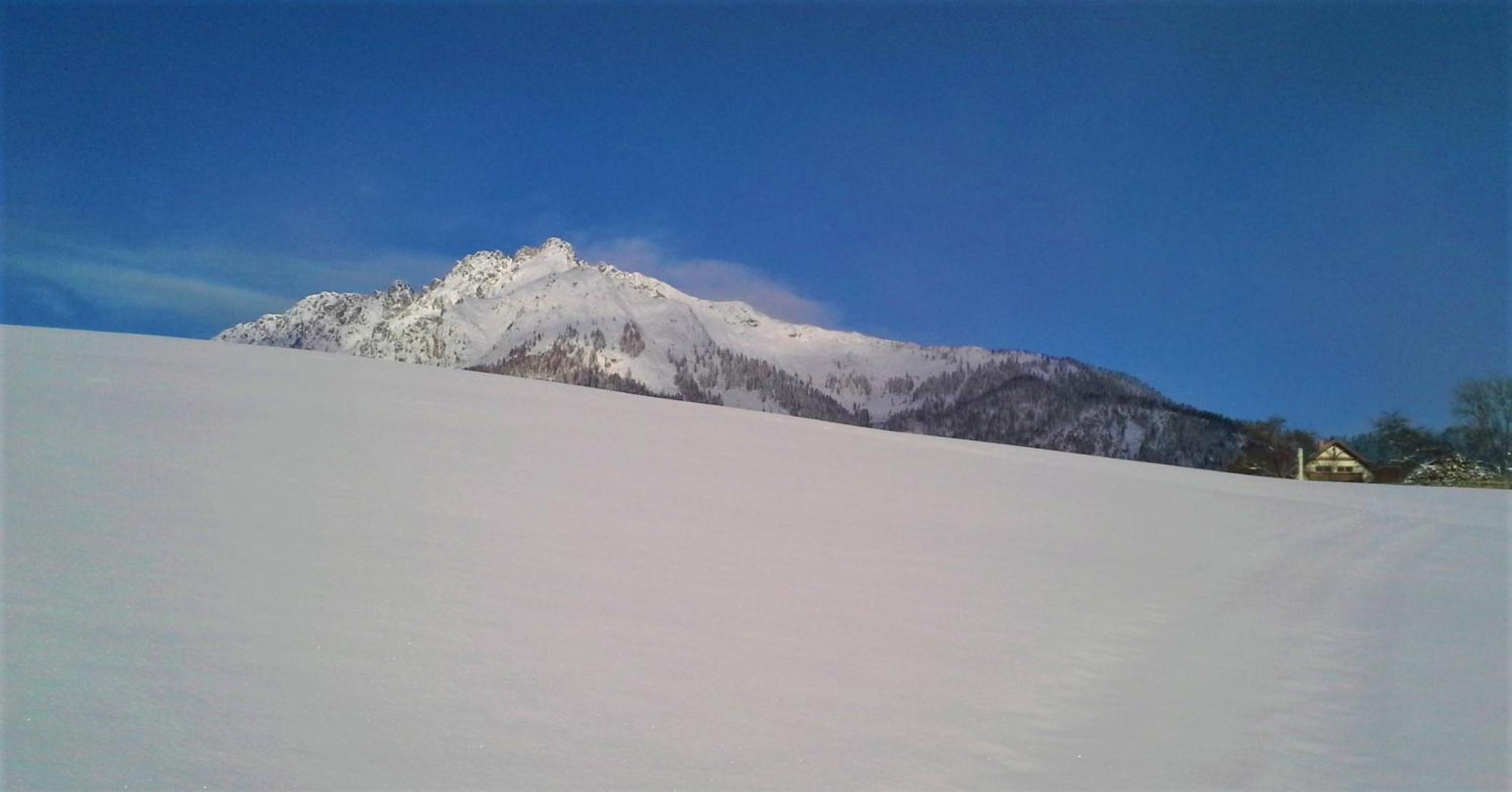 Appartement Berndlhof Mitterberg - Gröbming - Schladming