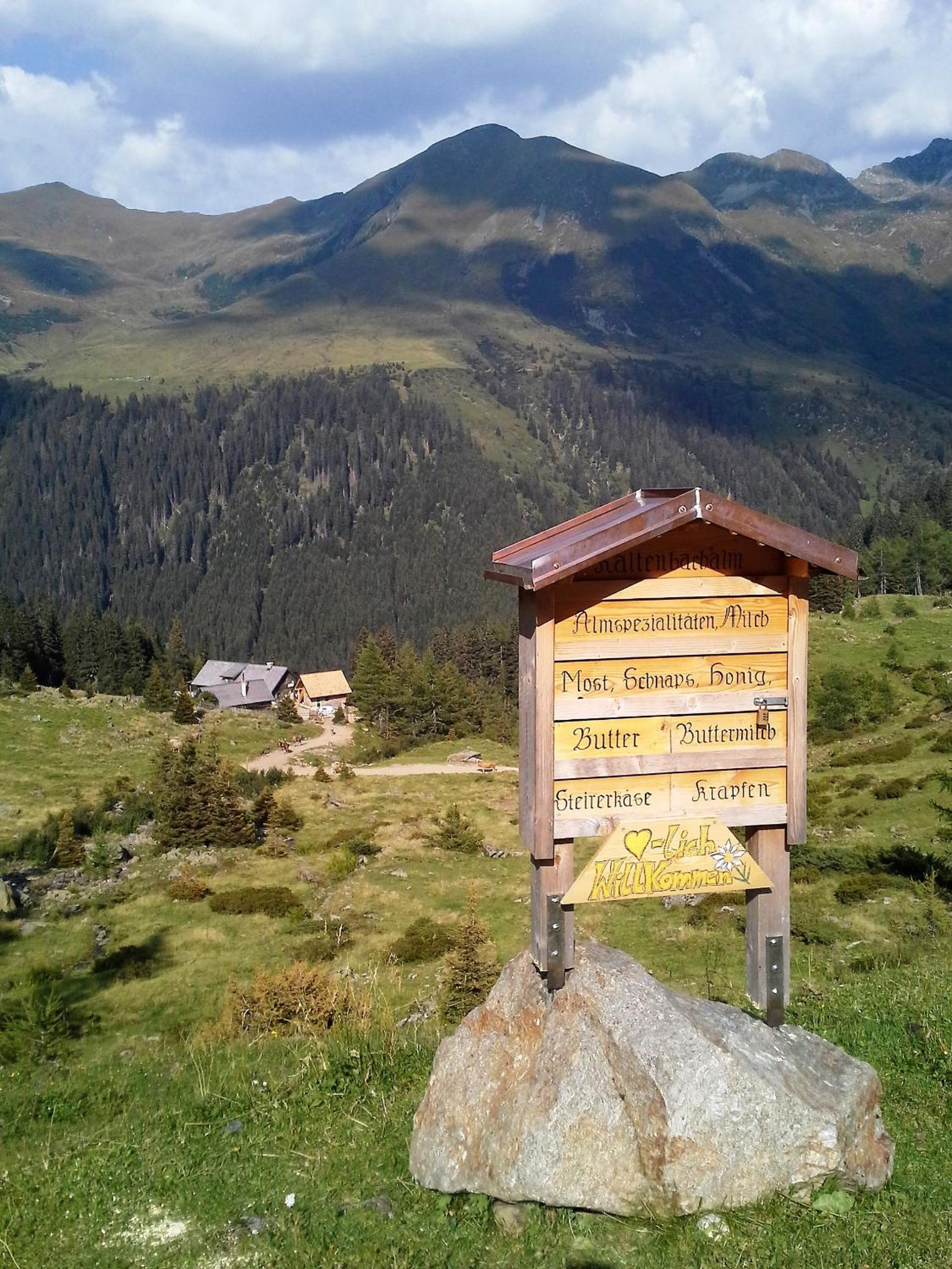 Appartement Berndlhof Mitterberg - Gröbming - Schladming