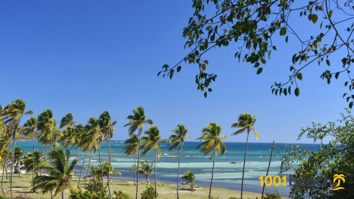 Le Ray Mundo F5 view 2