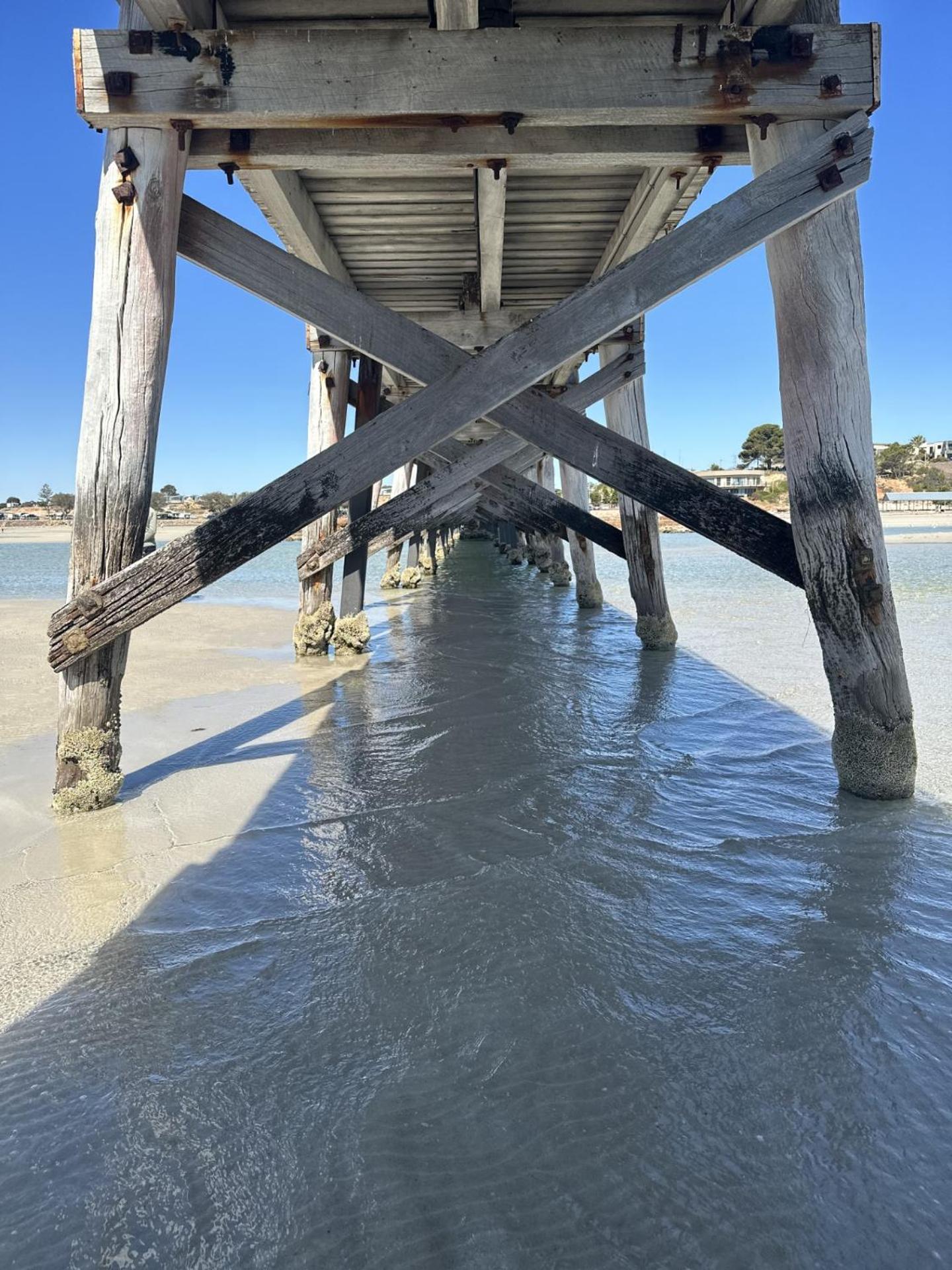 The Coastal Crab, Moonta Bay