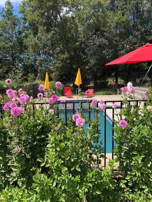 Para dos matrimonios con piscina, parrilla y fogón