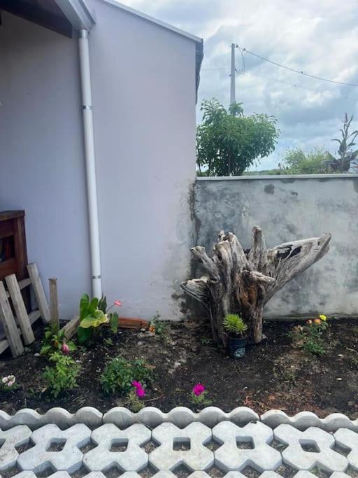 Refúgio Litorâneo em São Chico-Ervino