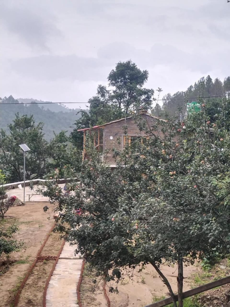 Naula Farms Homestay Jalna view 2