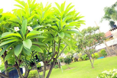 The garden gate resort & Apartments No 01