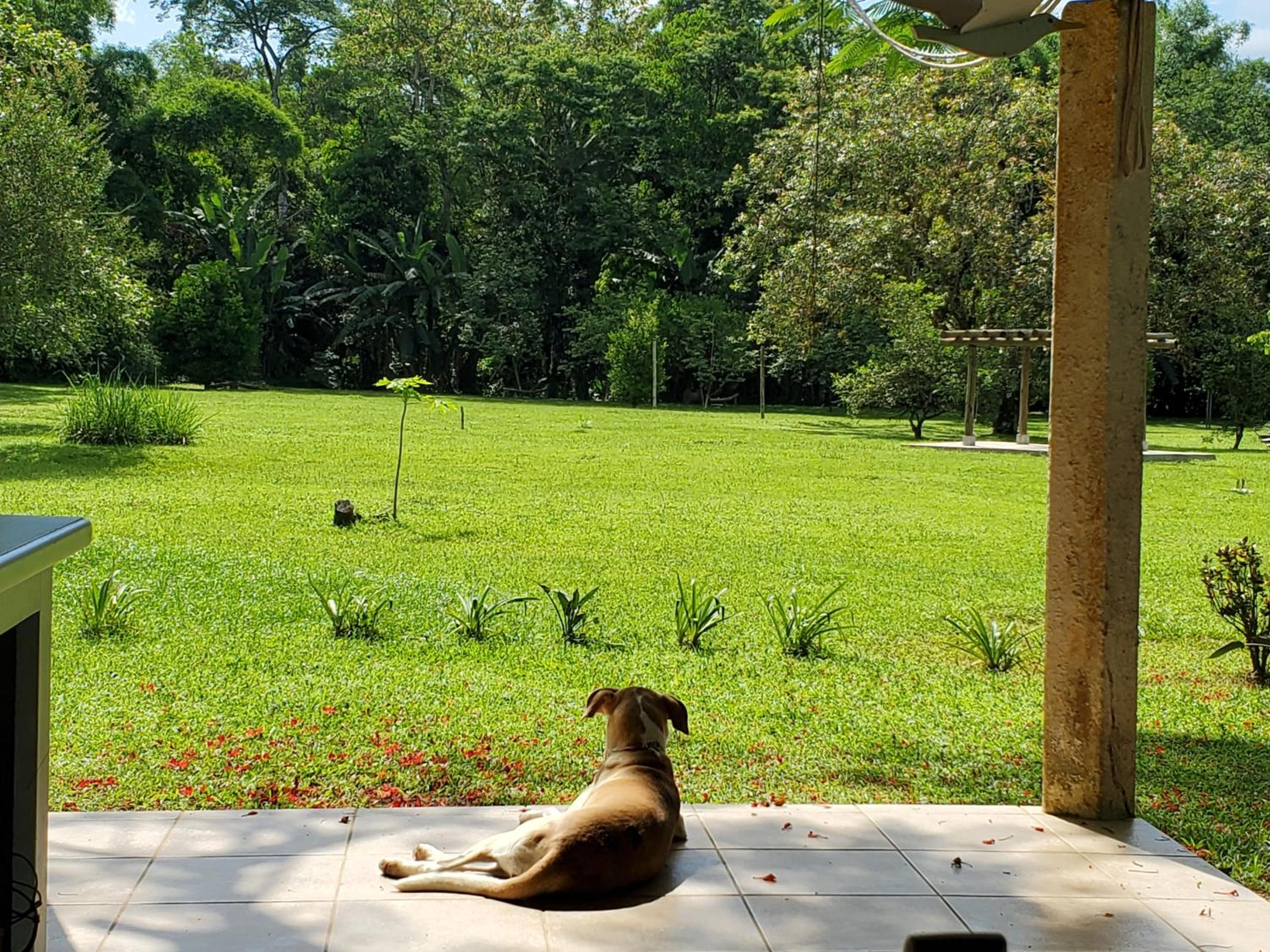 ÉCOisa de Chácara - Casa de Vidro, Casa de Campo