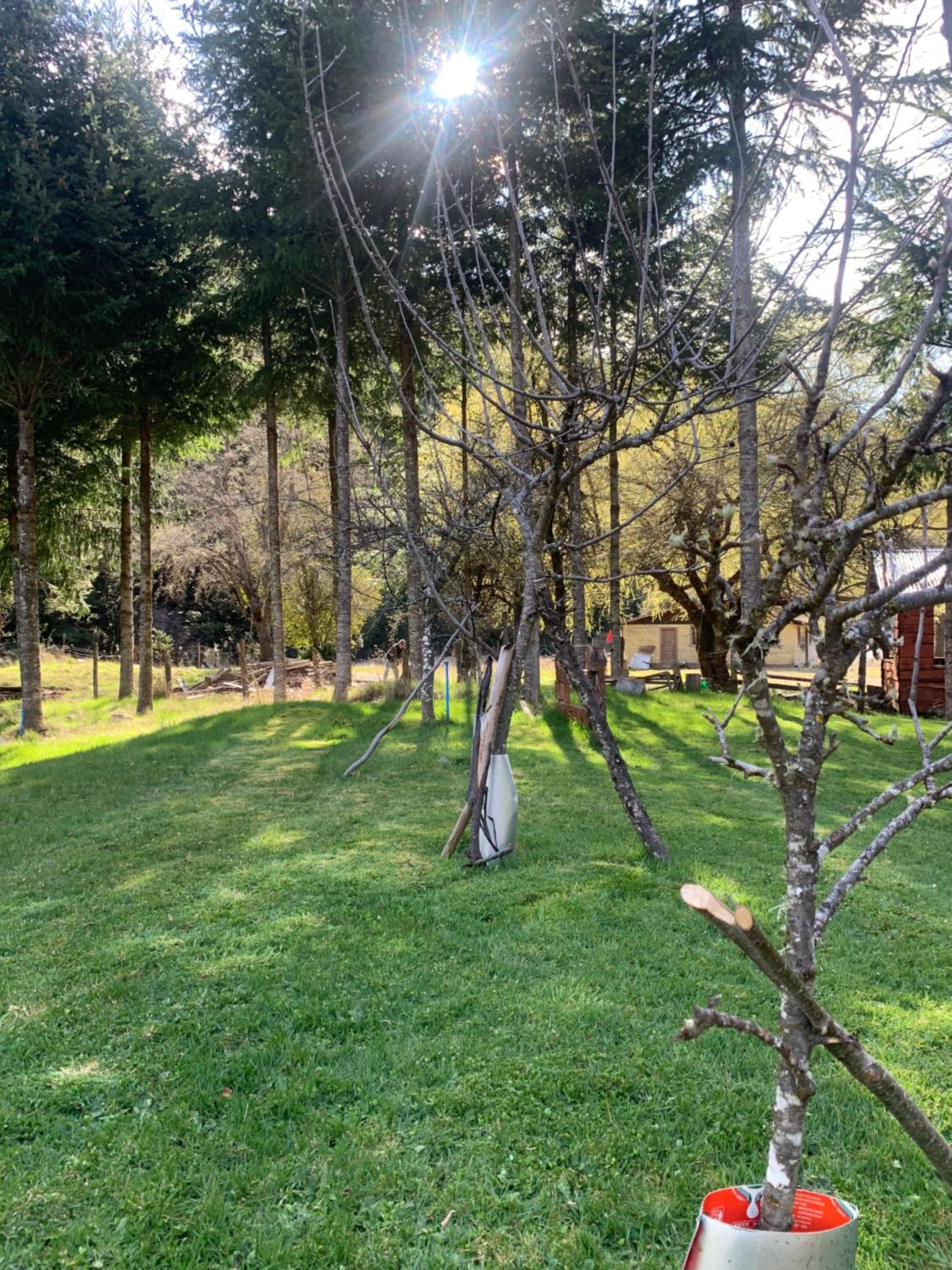 Cabañas cordillera Rio Blanco