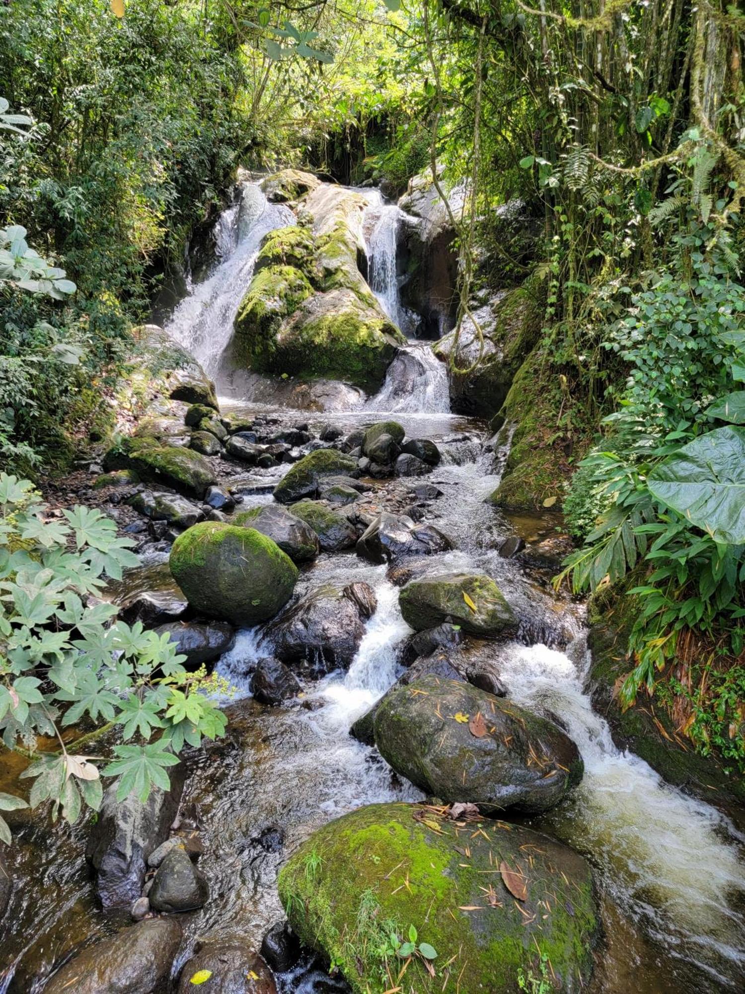 PaloSanto, Casa Rural