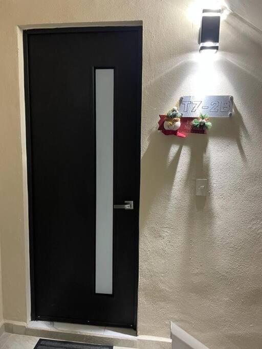 Lizard Apartment