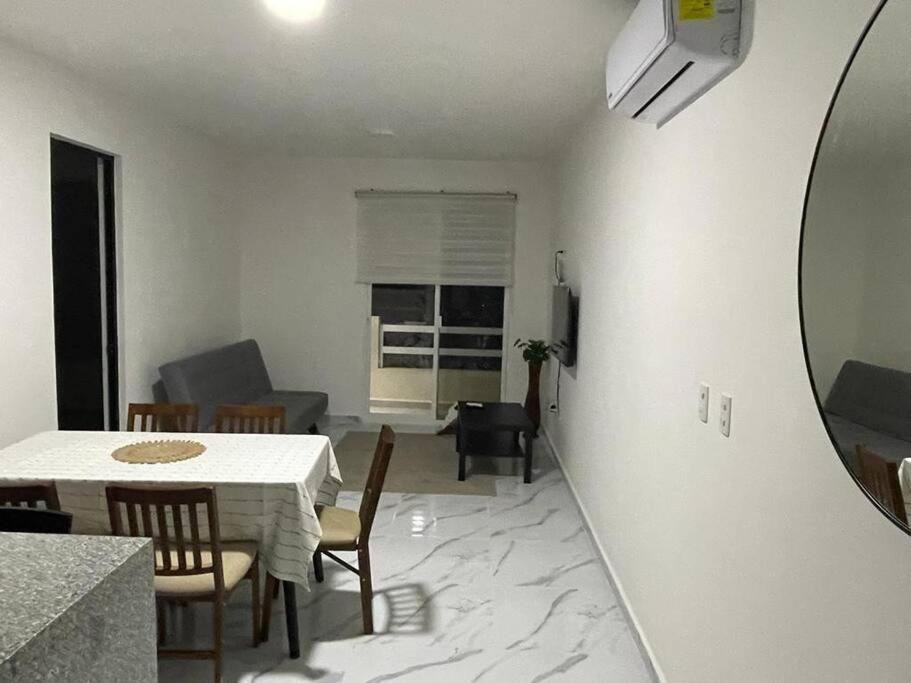 Lizard Apartment