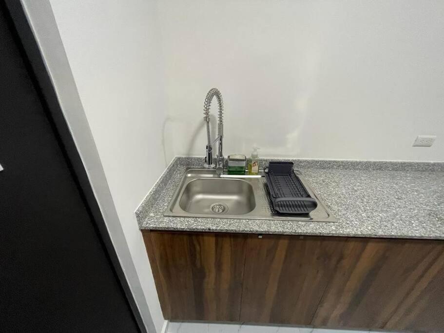 Lizard Apartment