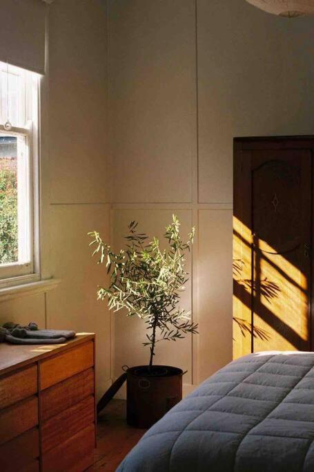 Thagg Haus - Charming Miners Cottage in Wonthaggi