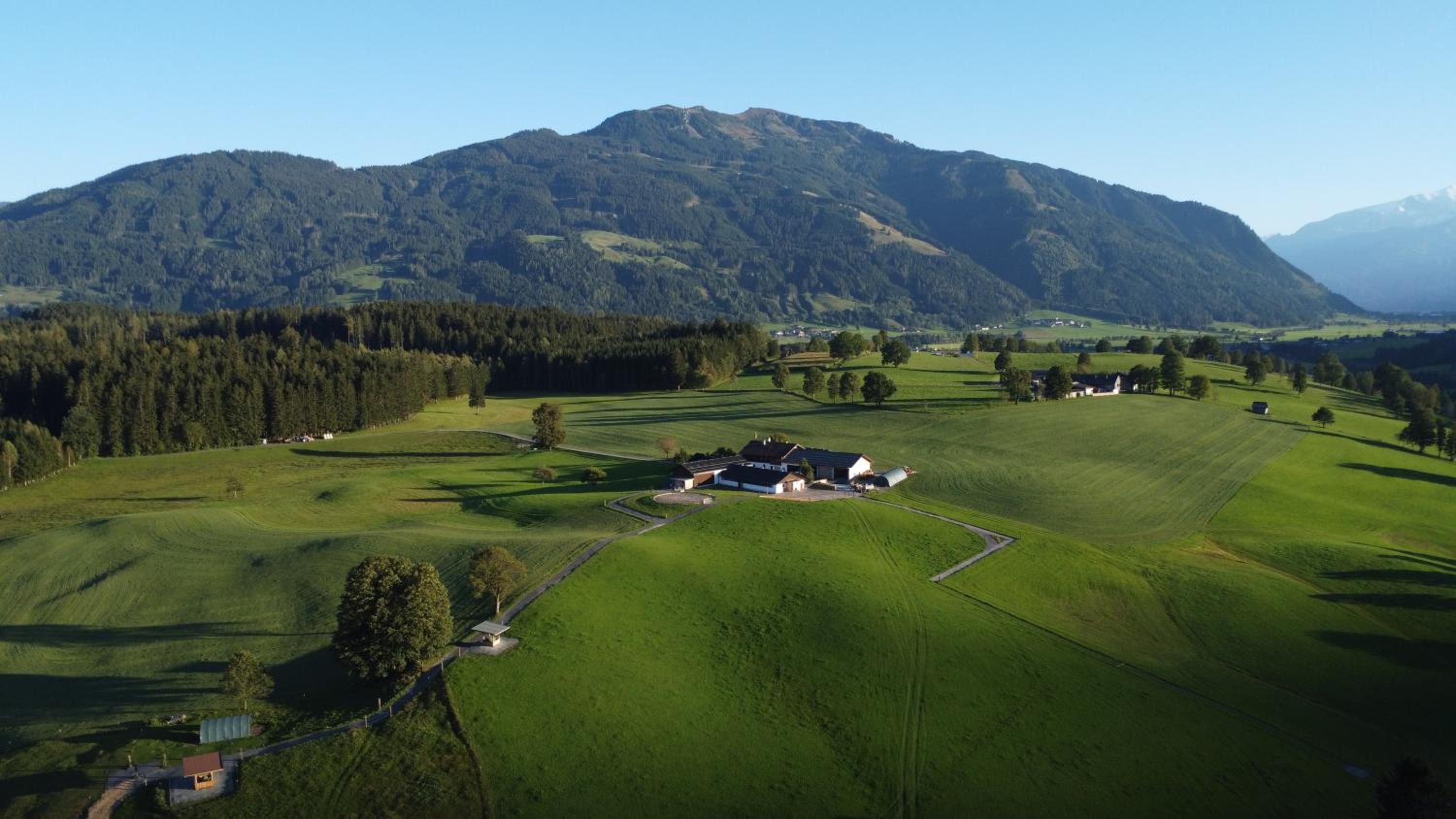 Haslinghof