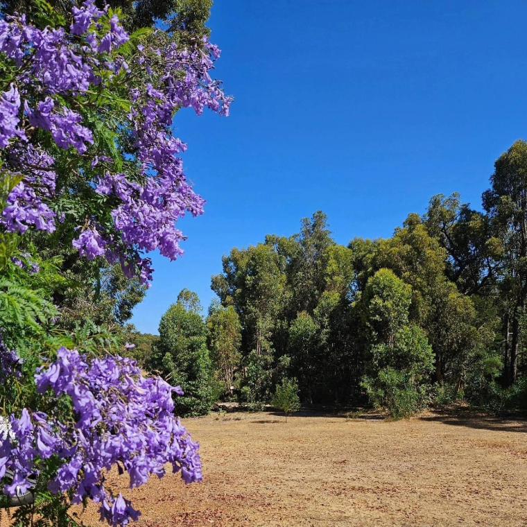 Forest Trails House, Dwellingup