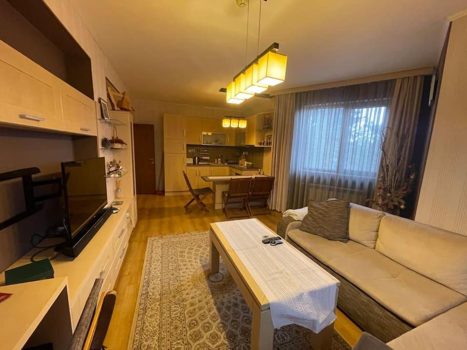 Nikol 3 SPA CLUB BOR