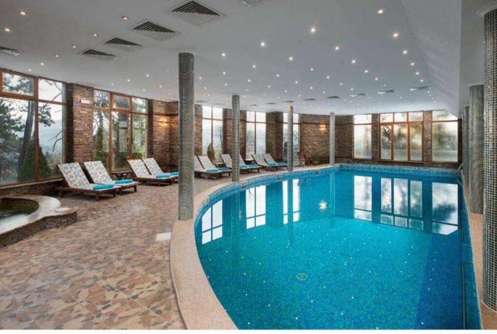 Nikol 3 SPA CLUB BOR