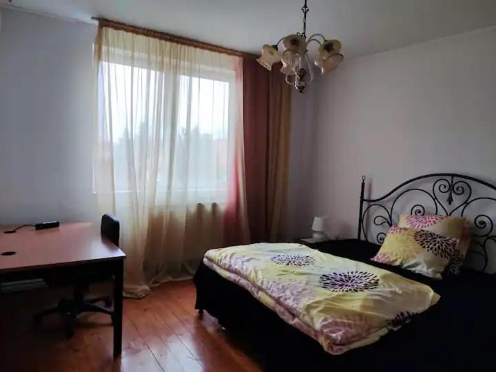 Photo 40