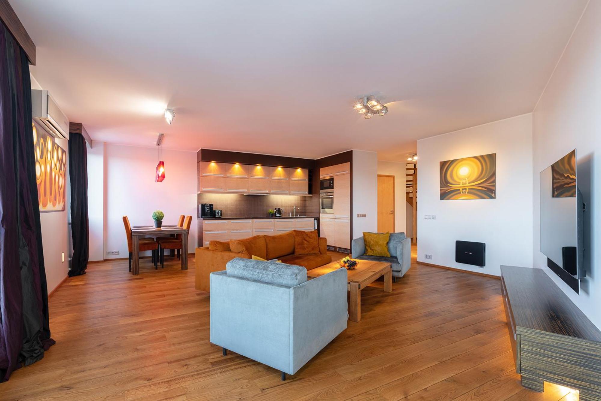 Spacious penthouse apartment with a good view in downtown