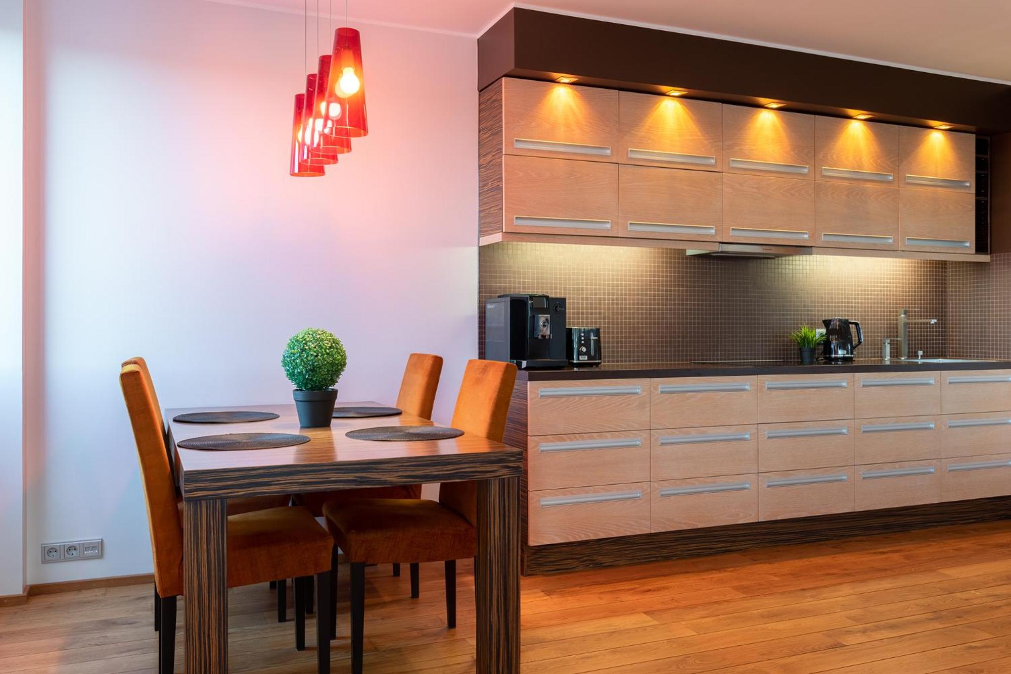 Spacious penthouse apartment with a good view in downtown