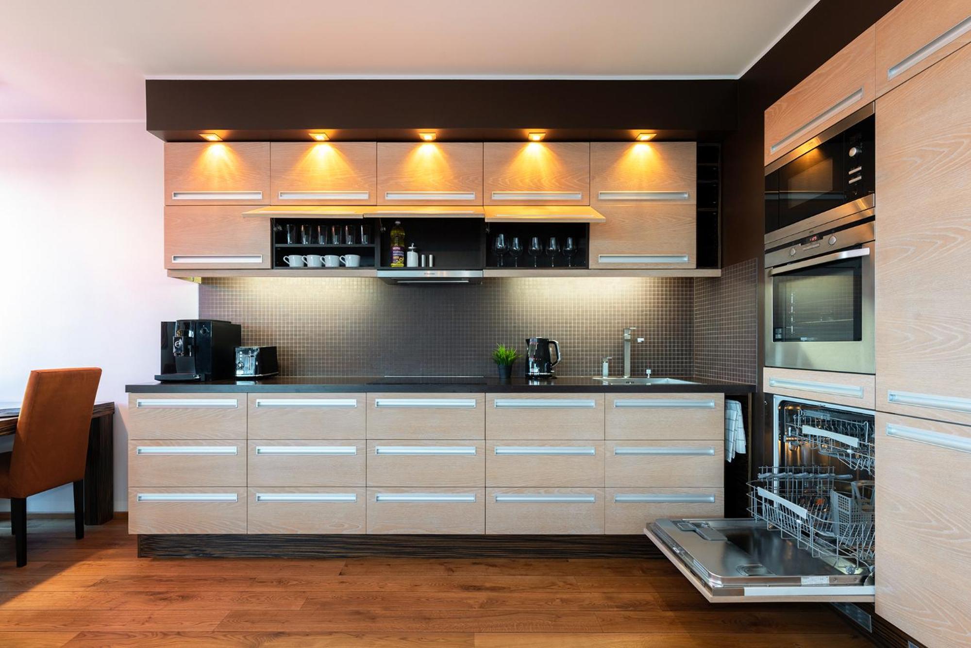 Spacious penthouse apartment with a good view in downtown