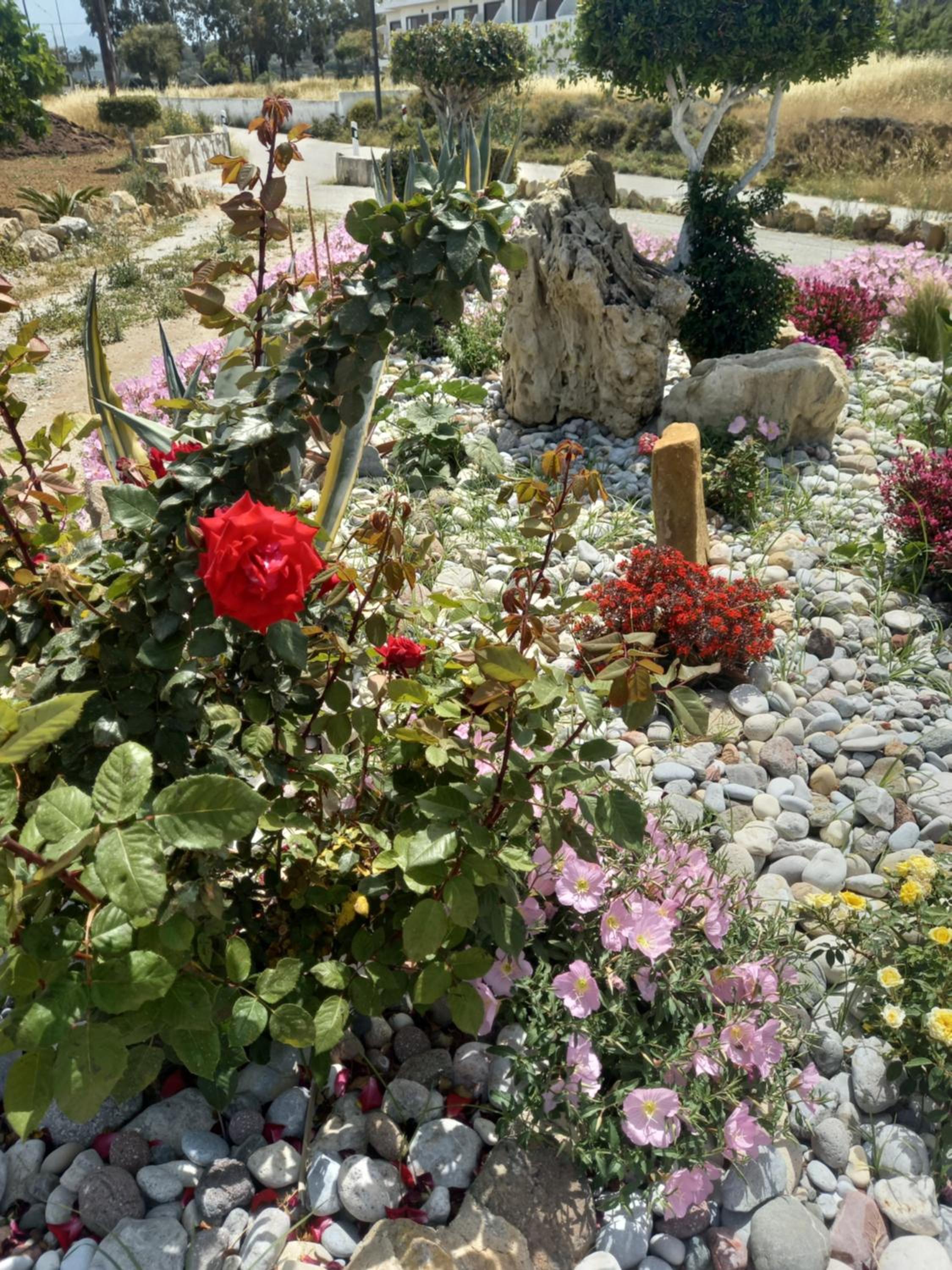 VILLA ANTONIS
