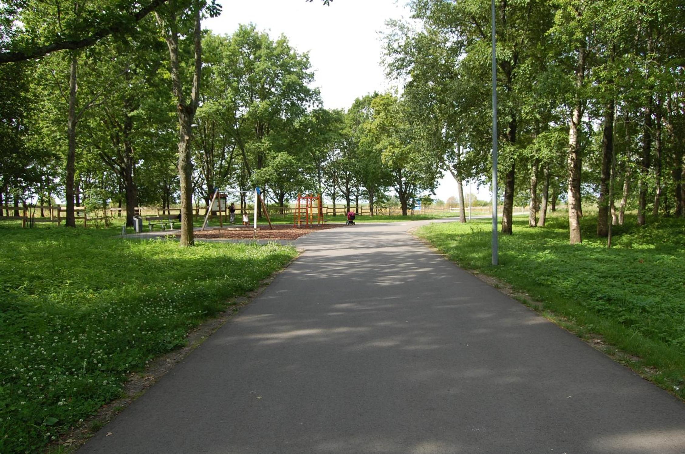 Photo 23