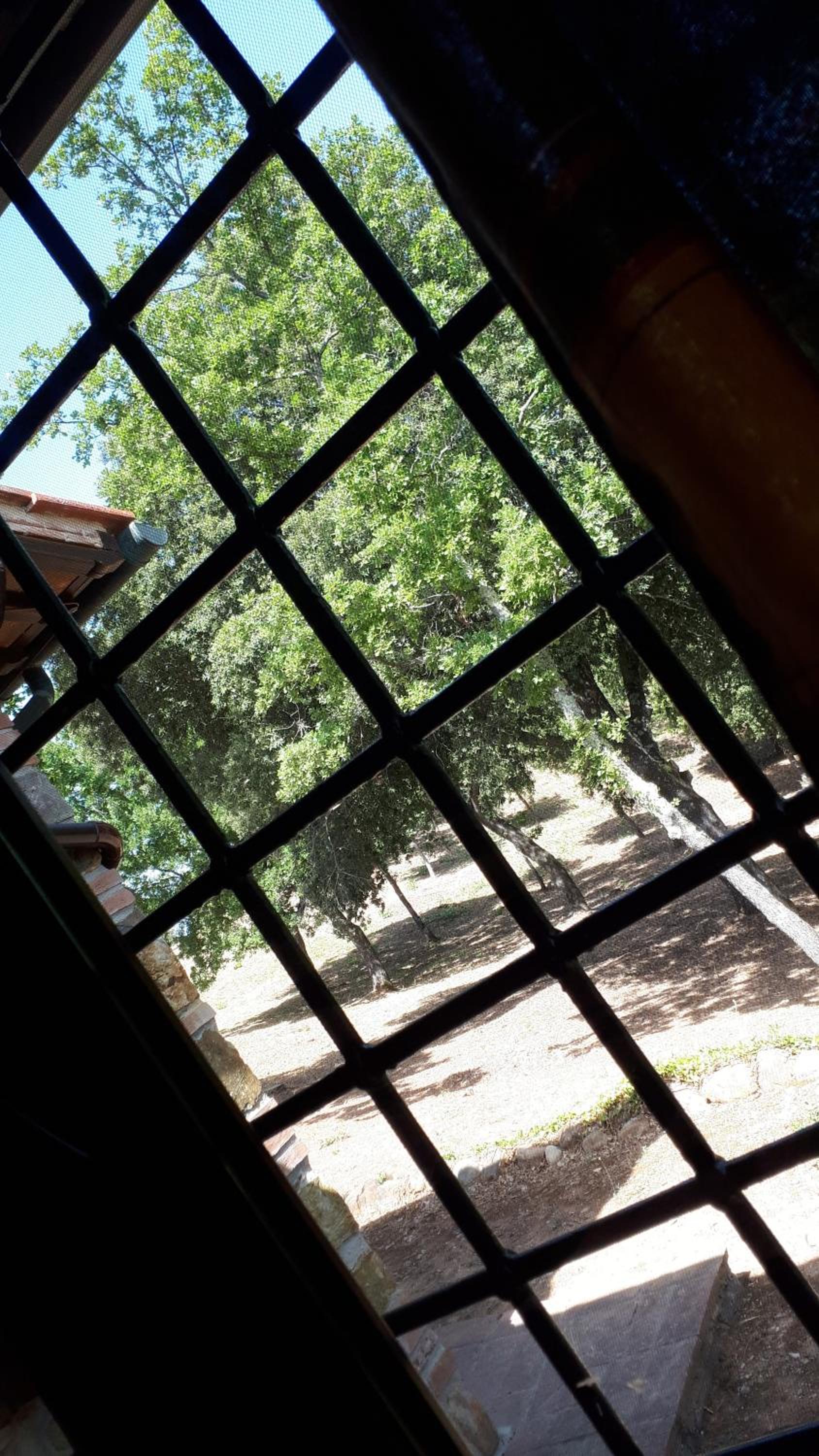 Agriturismo Podere San Lorenzo 1866