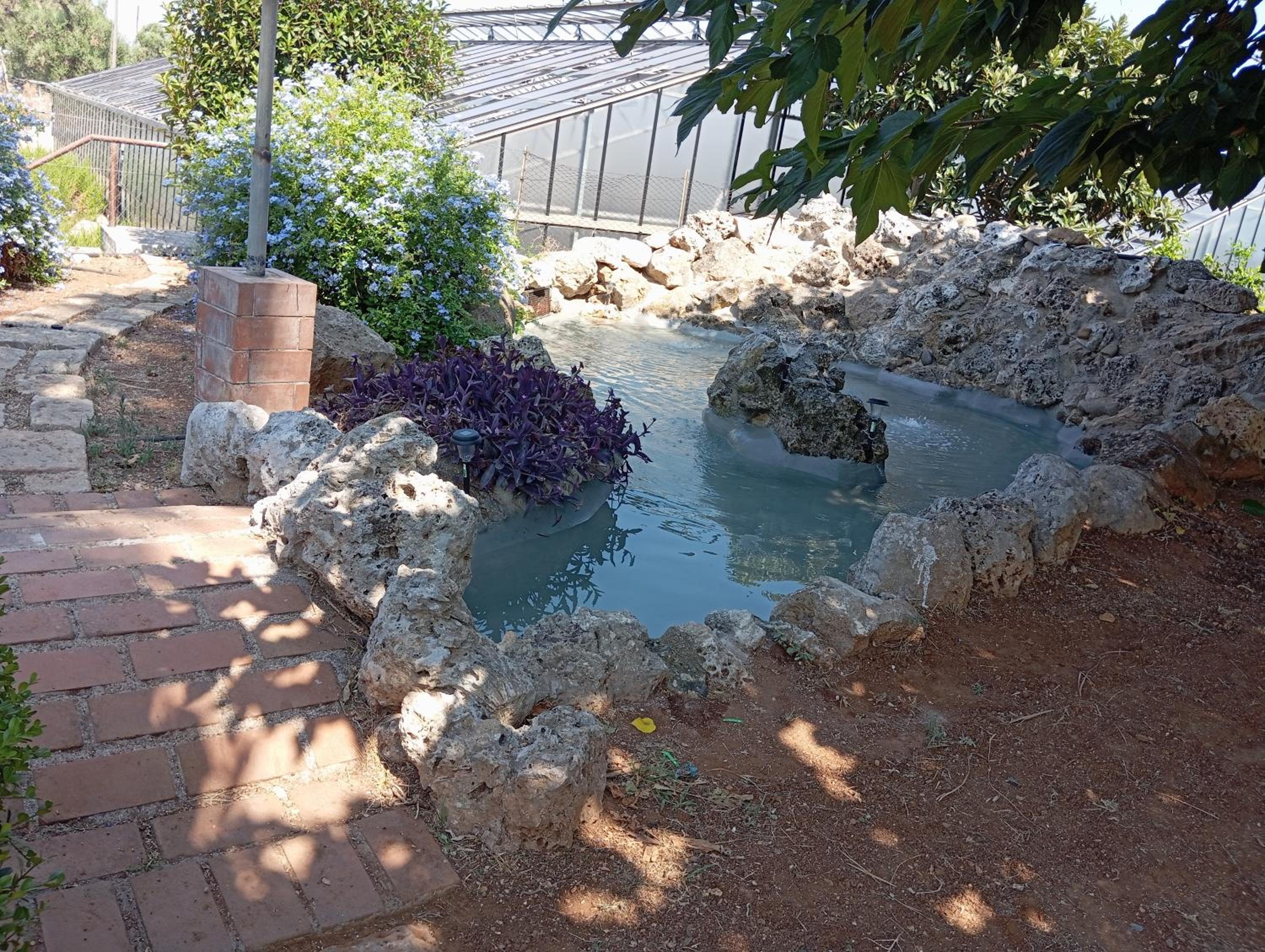 Photo 28