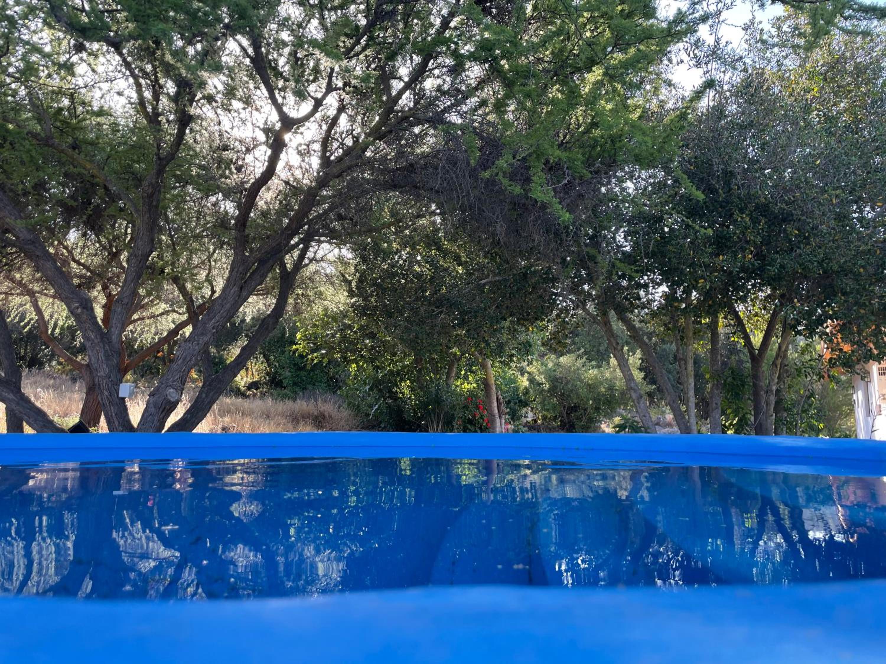 Casapangue