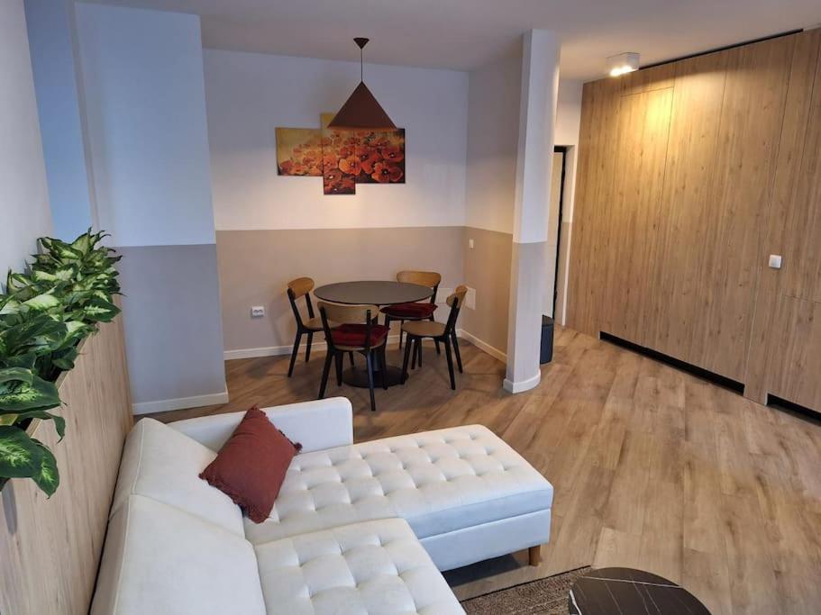 Apartament Septimiu Albini view 2