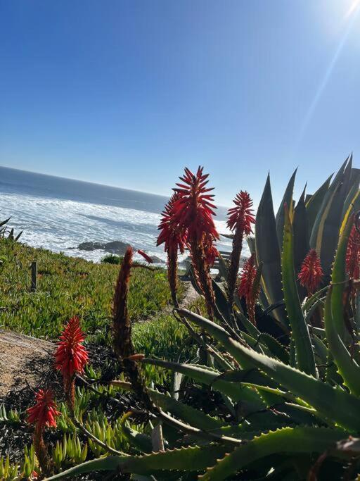 Cabaña Mar Pichilemu