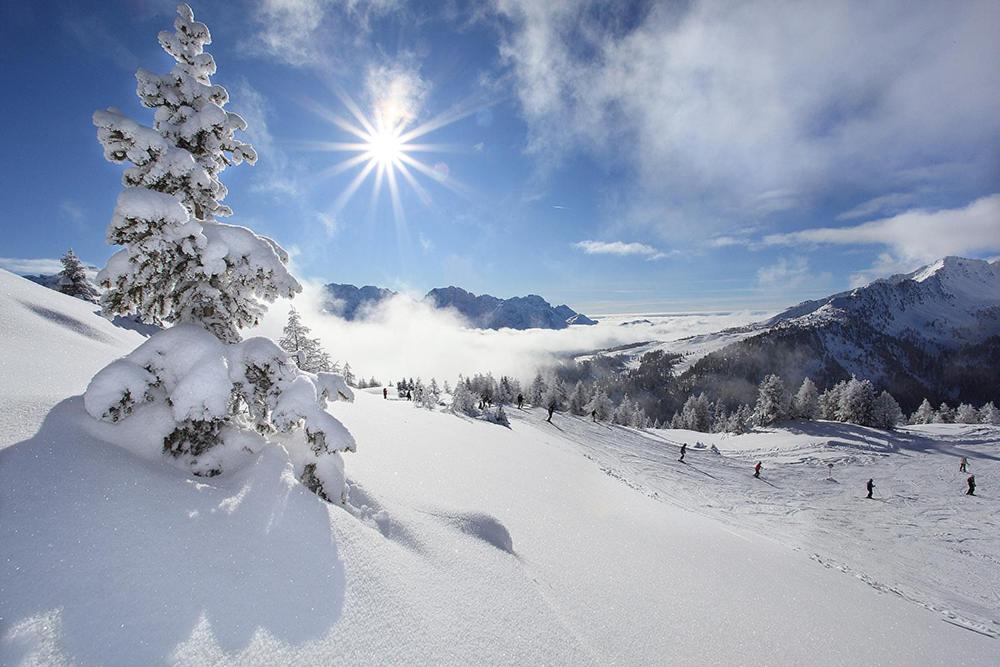 VALDISOLE-home