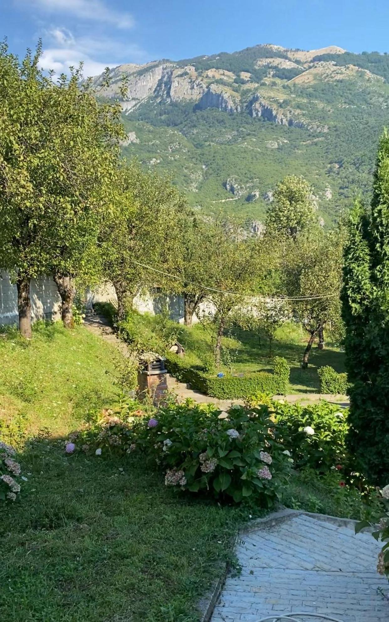 Big garden wood house photo 3