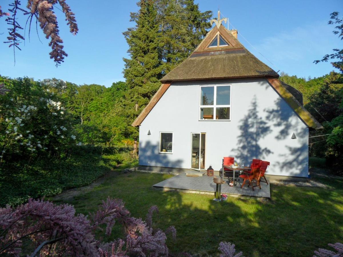 Gepflegtes Reetdachhaus auf großem Grundstück mit Badewanne und Terrasse